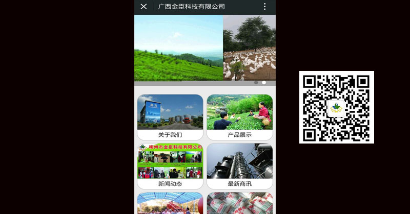广西金臣科技-9001cc金沙以诚为本-正版App Store 